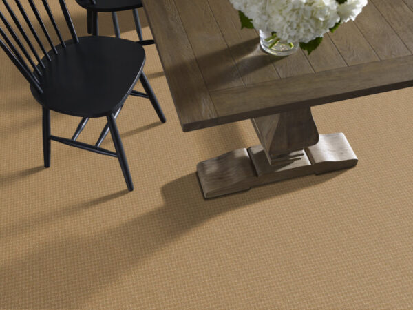 Anderson Tuftex Carpet Pawstruck Golden Straw 00224_ZZ081 - Image 2