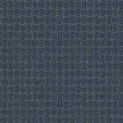 Anderson Tuftex Carpet Pawstruck Nimbus 00455_ZZ081