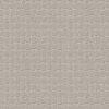 Anderson Tuftex Carpet Pawstruck Calm 00510_ZZ081