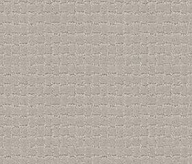 Anderson Tuftex Carpet Pawstruck Calm 00510_ZZ081