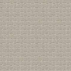 Anderson Tuftex Carpet Pawstruck Silver Fox 00511_ZZ081