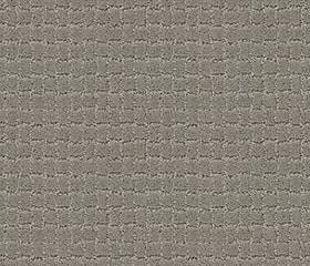 Anderson Tuftex Carpet Pawstruck Portland 00512_ZZ081