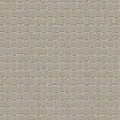 Anderson Tuftex Carpet Pawstruck Meditation 00531_ZZ081