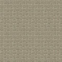 Anderson Tuftex Carpet Pawstruck Gray Mirage 00533_ZZ081