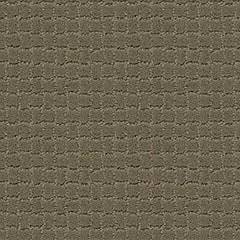 Anderson Tuftex Carpet Pawstruck Dry Sage 00536_ZZ081