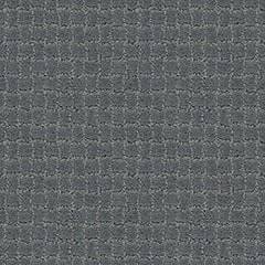 Anderson Tuftex Carpet Pawstruck Steel Wool 00545_ZZ081