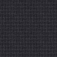 Anderson Tuftex Carpet Pawstruck Night Shade 00558_ZZ081