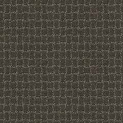 Anderson Tuftex Carpet Pawstruck Smoked Oyster 00576_ZZ081