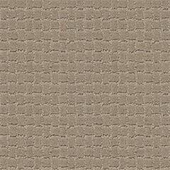 Anderson Tuftex Carpet Pawstruck Mocha Cream 00711_ZZ081