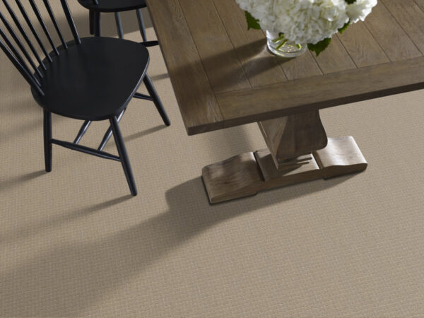 Anderson Tuftex Carpet Pawstruck Mocha Cream 00711_ZZ081 - Image 2