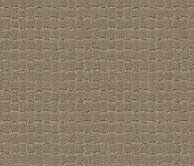 Anderson Tuftex Carpet Pawstruck Driftwood 00712_ZZ081