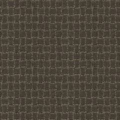 Anderson Tuftex Carpet Pawstruck Overcoat 00716_ZZ081