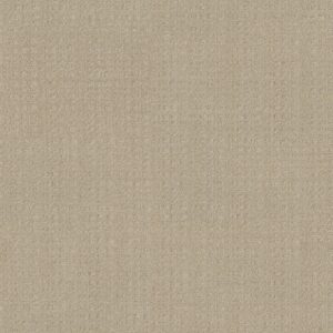 Anderson Tuftex Carpet Purrsuasion Blonde 00211_ZZ082