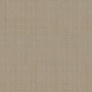 Anderson Tuftex Carpet Purrsuasion Simply Beige 00222_ZZ082