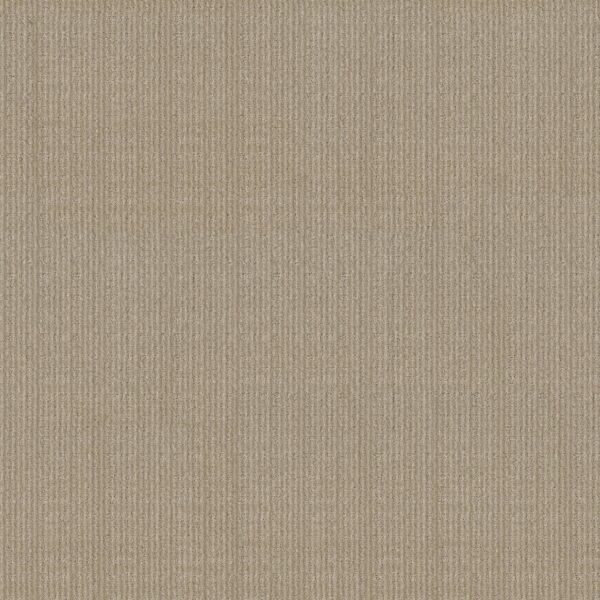 Anderson Tuftex Carpet Purrsuasion Simply Beige 00222_ZZ082