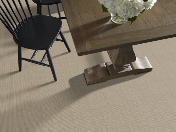 Anderson Tuftex Carpet Purrsuasion Simply Beige 00222_ZZ082 - Image 2