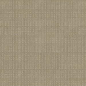 Anderson Tuftex Carpet Purrsuasion Sunrise 00253_ZZ082