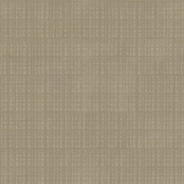 Anderson Tuftex Carpet Purrsuasion Sunrise 00253_ZZ082