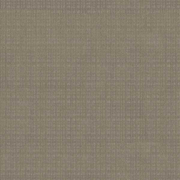 Anderson Tuftex Carpet Purrsuasion Favorite Tan 00272_ZZ082
