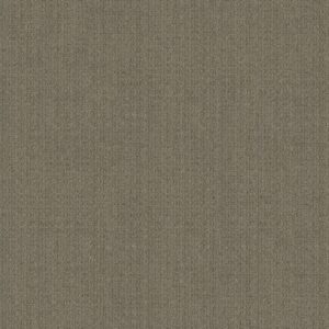 Anderson Tuftex Carpet Purrsuasion Urban Jungle 00355_ZZ082
