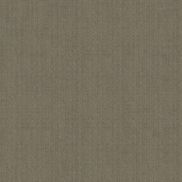 Anderson Tuftex Carpet Purrsuasion Urban Jungle 00355_ZZ082