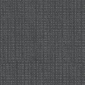 Anderson Tuftex Carpet Purrsuasion Waterloo 00458_ZZ082