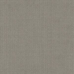 Anderson Tuftex Carpet Purrsuasion Cement 00553_ZZ082