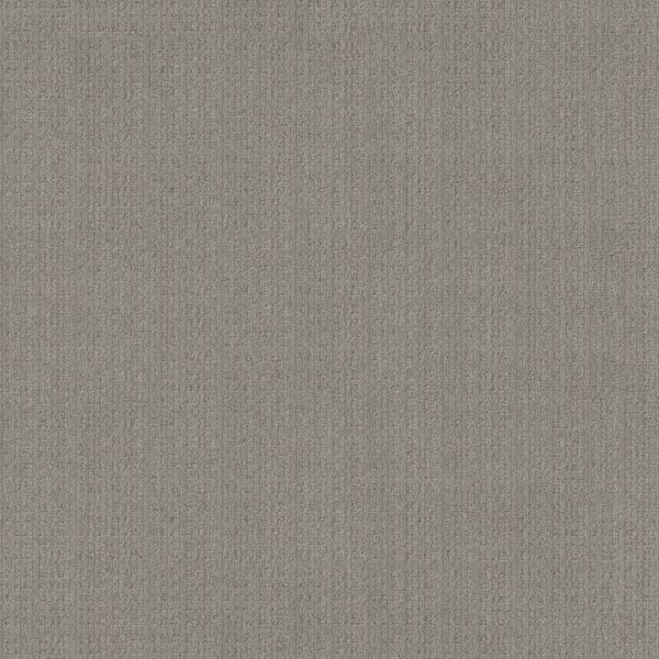 Anderson Tuftex Carpet Purrsuasion Cement 00553_ZZ082