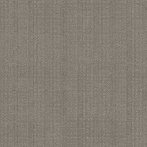 Anderson Tuftex Carpet Purrsuasion Backdrop 00572_ZZ082