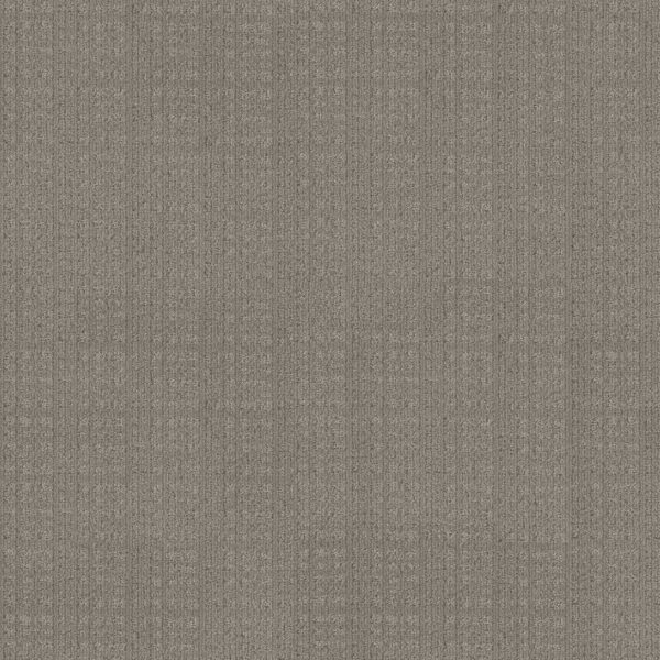 Anderson Tuftex Carpet Purrsuasion Backdrop 00572_ZZ082