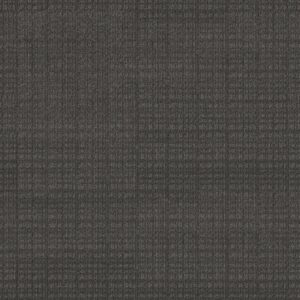 Anderson Tuftex Carpet Purrsuasion Cyberspace 00576_ZZ082