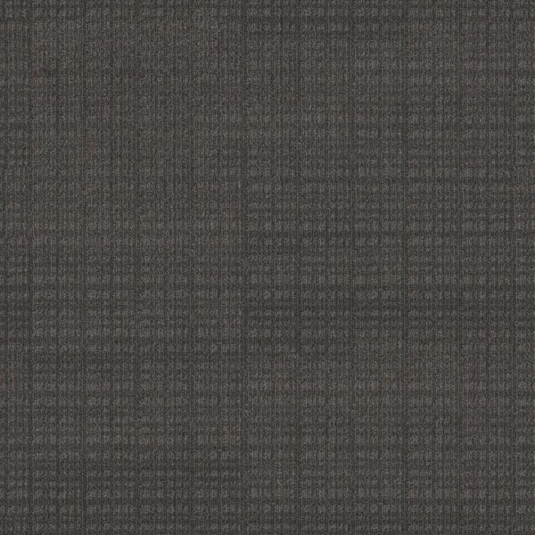 Anderson Tuftex Carpet Purrsuasion Cyberspace 00576_ZZ082