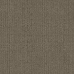 Anderson Tuftex Carpet Purrsuasion Craftsman 00776_ZZ082
