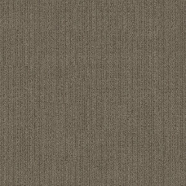 Anderson Tuftex Carpet Purrsuasion Craftsman 00776_ZZ082