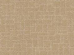 Anderson Tuftex Carpet Faux Paw Monterey 00115_ZZ084