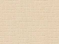 Anderson Tuftex Carpet Faux Paw Antiquity 00121_ZZ084