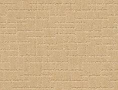 Anderson Tuftex Carpet Faux Paw Cork 00223_ZZ084