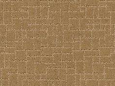 Anderson Tuftex Carpet Faux Paw Golden Straw 00224_ZZ084