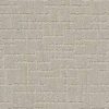 Anderson Tuftex Carpet Faux Paw Silver Fox 00511_ZZ084