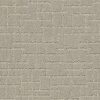 Anderson Tuftex Carpet Faux Paw Meditation 00531_ZZ084