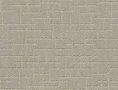 Anderson Tuftex Carpet Faux Paw Meditation 00531_ZZ084