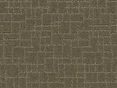Anderson Tuftex Carpet Faux Paw Dry Sage 00536_ZZ084