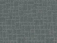Anderson Tuftex Carpet Faux Paw Steel Wool 00545_ZZ084