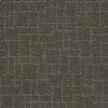 Anderson Tuftex Carpet Faux Paw Smoked Oyster 00576_ZZ084