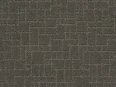 Anderson Tuftex Carpet Faux Paw Smoked Oyster 00576_ZZ084