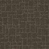 Anderson Tuftex Carpet Faux Paw Overcoat 00716_ZZ084