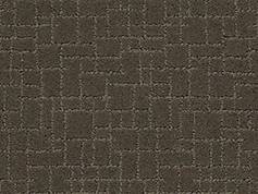 Anderson Tuftex Carpet Faux Paw Overcoat 00716_ZZ084