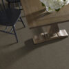 Anderson Tuftex Carpet Faux Paw Overcoat 00716_ZZ084 - Image 2