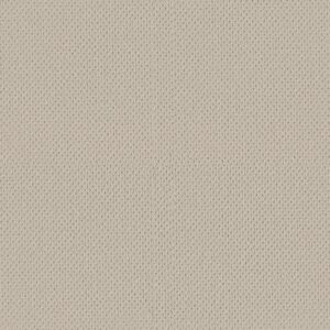 Anderson Tuftex Carpet Mera Aged White 00112_ZZ086