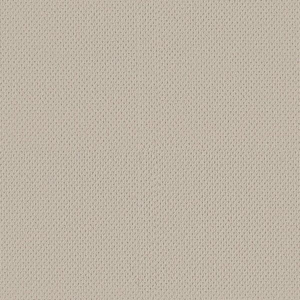 Anderson Tuftex Carpet Mera Aged White 00112_ZZ086